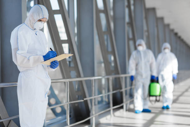 Best Mold Damage Restoration  in Nappanee, IN
