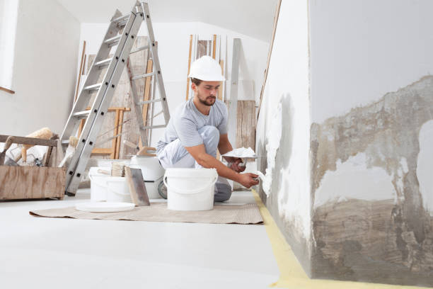 Best Mold Remediation for Healthcare Facilities  in Nappanee, IN