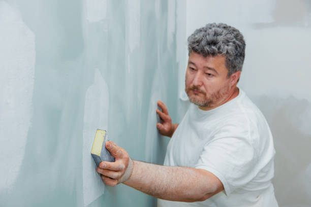 Best Real Estate Mold Inspection  in Nappanee, IN