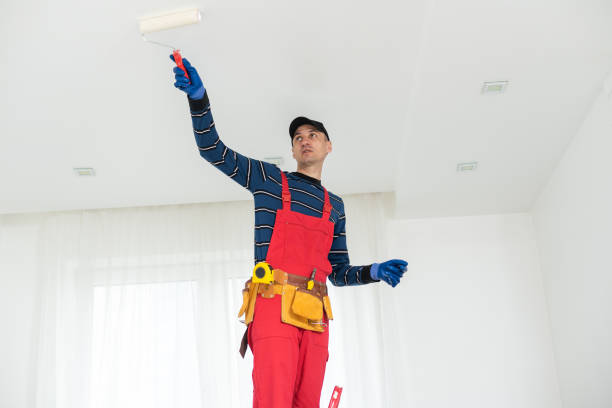 Best Mold Documentation for Insurance Claims  in Nappanee, IN