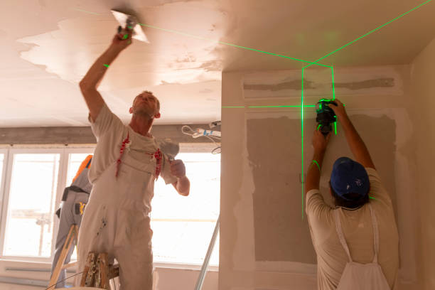 Best Emergency Mold Remediation  in Nappanee, IN