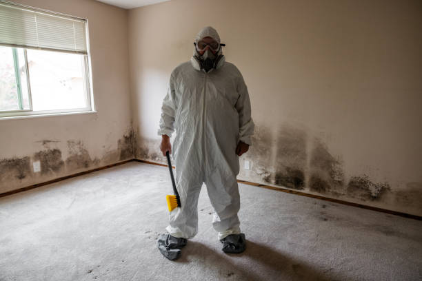 Best Mold Odor Removal Services  in Nappanee, IN