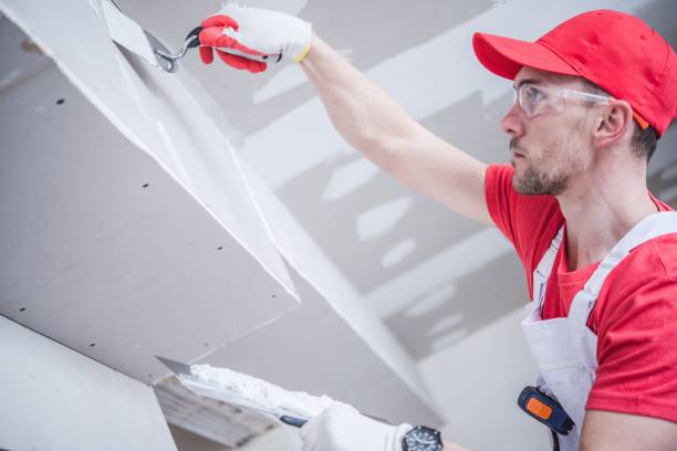  Nappanee, IN Mold Removal Pros